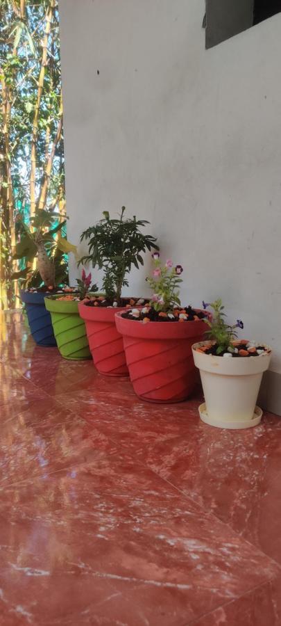 Mahabs Homestay Villa Mahabalipuram Zewnętrze zdjęcie